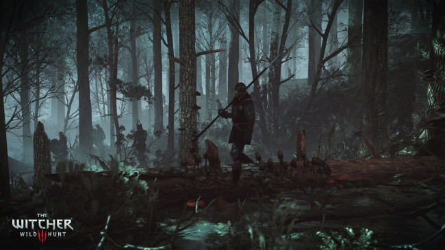 Обои картинки фото видео игры, the witcher 3,  wild hunt, люди, лес