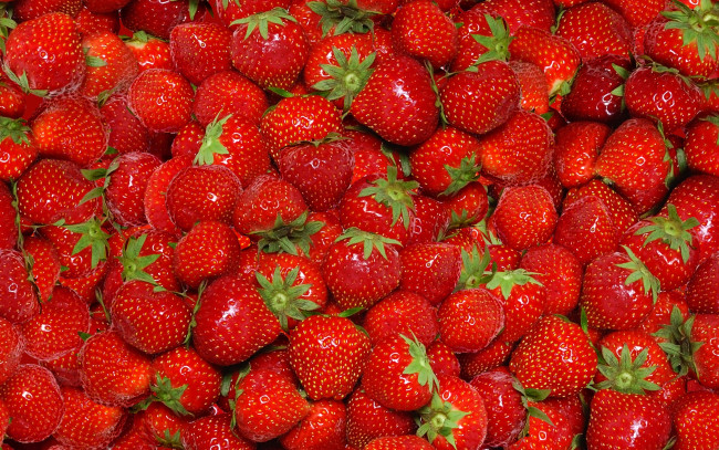 Обои картинки фото еда, клубника,  земляника, красные, ягоды, спелая, strawberry, fresh, berries, красный