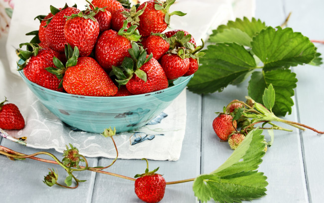 Обои картинки фото еда, клубника,  земляника, ягоды, спелая, миска, листья, красные, berries, fresh, strawberry