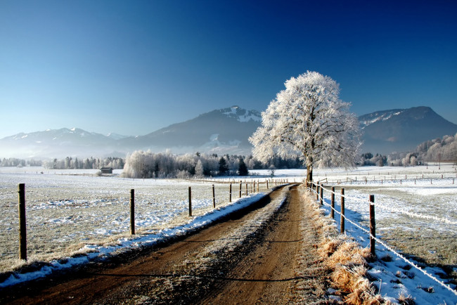 Обои картинки фото природа, дороги, дорога, поле, забор, дерево, снег, зима