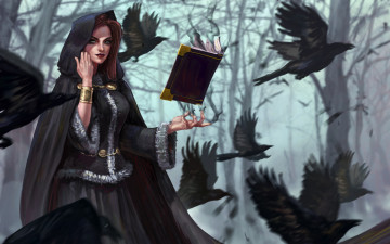 Картинка фэнтези девушки вороны магия капюшон арт деревья книга птицы ведьма лес фэнтази
