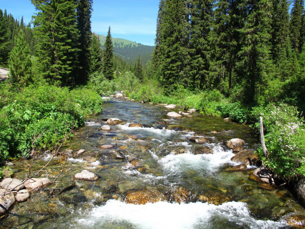 Обои картинки фото саяны, природа, реки, озера, россия, сибирь, река, деревья, камни