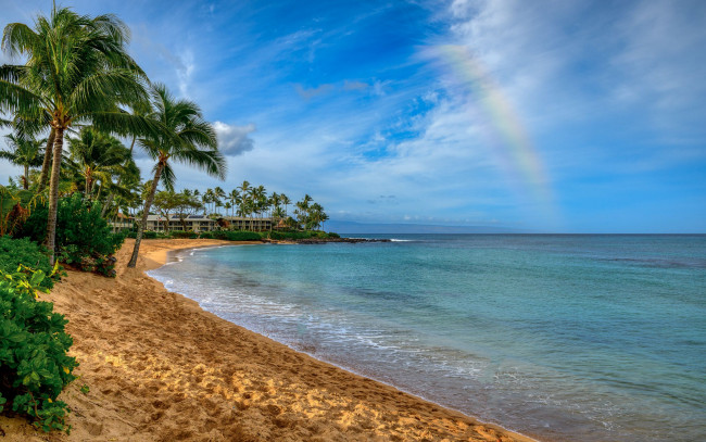 Обои картинки фото природа, тропики, море, пляж, песок, радуга, пальмы