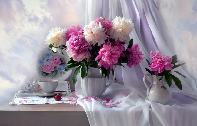 Обои картинки фото цветы, пионы, белые, розовые