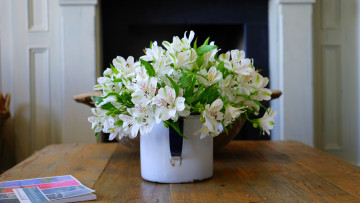 Картинка цветы альстромерия букет белая