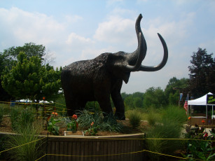 Картинка города памятники скульптуры арт объекты слон