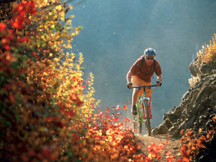 обоя спорт, велоспорт, камни, кусты, осень