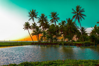 Картинка kumarakom lake kerala india природа тропики пальмы индия озеро кумараком закат