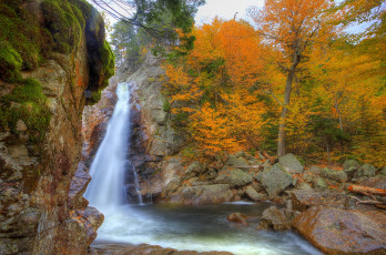 Картинка glen ellis falls new hampshire us природа водопады лес водопад