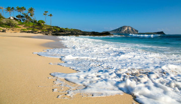 Картинка makapu`u beach oahu hawaii природа побережье makapuu pacific ocean оаху гавайи тихий океан пальмы пляж