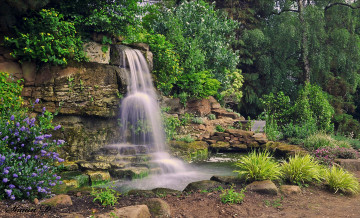 Картинка природа водопады цветы водопад