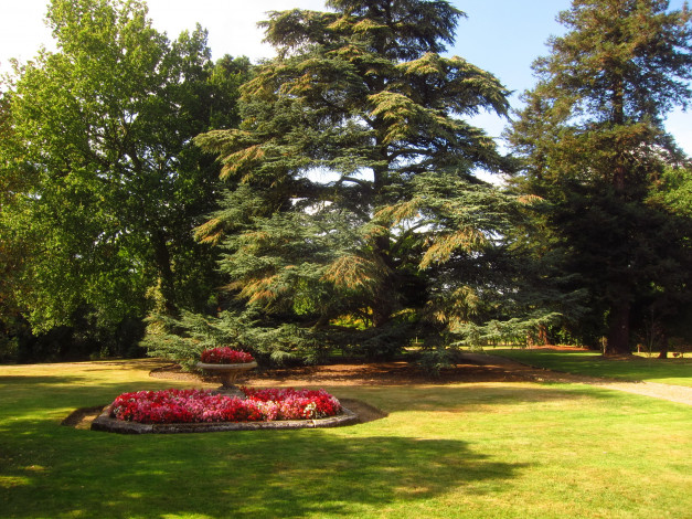 Обои картинки фото beale, arboretum, barnet, england, природа, парк, цветы, деревья