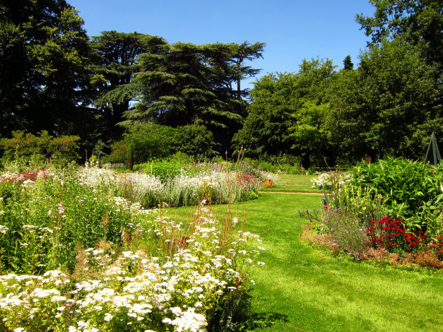 Обои картинки фото osterley, park, hounslow, england, природа, парк, трава, растения