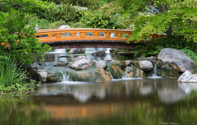 Обои картинки фото setagaya, park, japanese, garden, vienna, austria, природа, парк, Японский, сад, австрия, мост, каскад, камни, вена