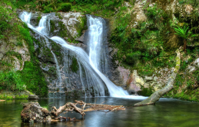 Обои картинки фото природа, водопады, водопад, бревно, лес, река, обрыв, заросли