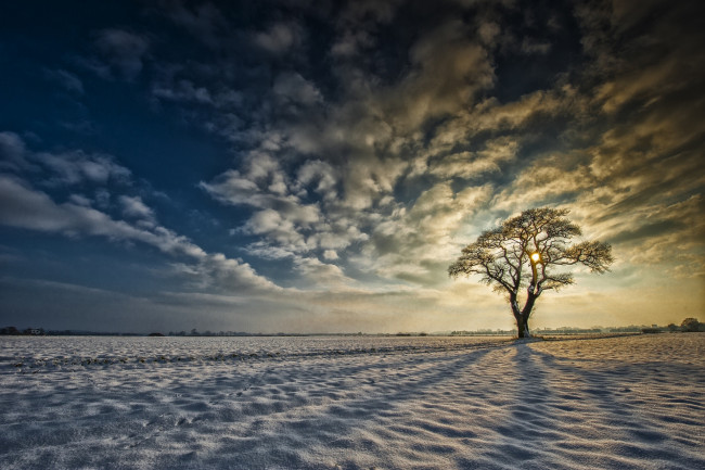 Обои картинки фото yorkshire, england, природа, зима, йоркшир, англия, снег, дерево, восход, облака