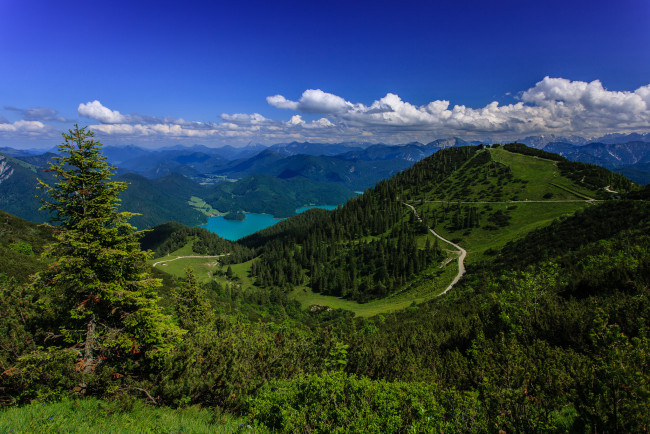 Обои картинки фото bavarian, alps, germany, природа, горы, панорама, леса, озеро, германия, баварские, альпы