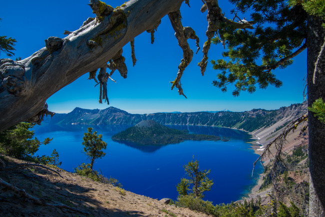 Обои картинки фото crater, lake, national, park, oregon, природа, реки, озера, деревья, озеро, крейтер, орегон, остров