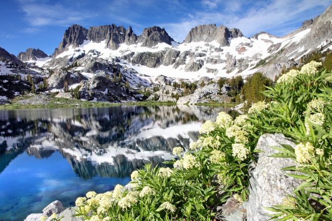 Обои картинки фото ediza, lake, ansel, adams, wilderness, california, природа, реки, озера, minarets, минареты, калифорния, озеро, горы, отражение, цветы