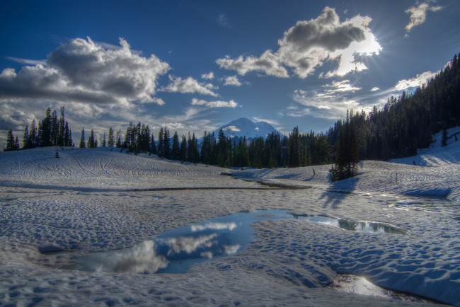 Обои картинки фото tipsoo, lake, mount, rainier, national, park, washington, природа, зима, деревья, замёрзшее, озеро, снег, гора, chinook, pass