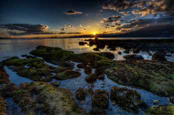Картинка природа восходы закаты солнце горизонт отлив океан