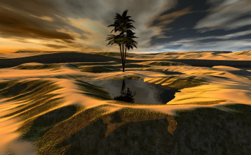 Картинка 3д+графика природа+ nature вода песок пальма