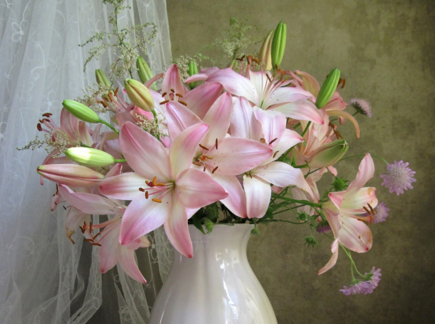 Обои картинки фото цветы, лилии,  лилейники, розовый