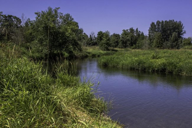 Обои картинки фото природа, реки, озера, деревья, трава, река