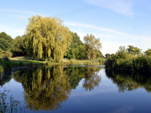 Картинка природа реки озера отражение река лето