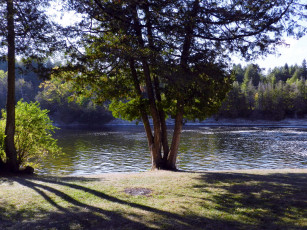 Картинка природа реки озера река сосны лето тени
