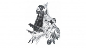 Картинка рисованное минимализм раскрас индеец лицо перья