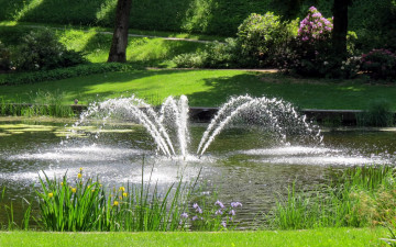 Картинка природа парк водоем фонтан