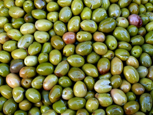 Обои картинки фото еда, оливки, много, зеленые