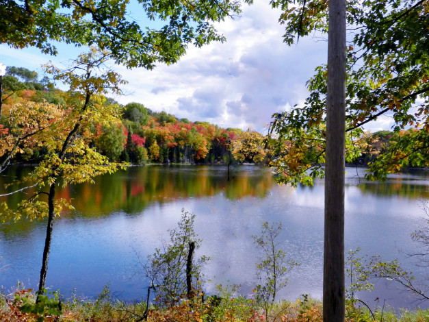 Обои картинки фото природа, реки, озера, осень, река, деревья