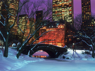 Картинка central parkin winte new york city города нью йорк сша