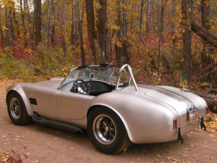 Картинка shelby автомобили ac cobra