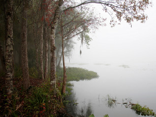 Картинка природа реки озера туман река