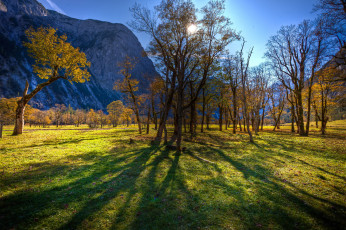 Картинка landscape hdr природа деревья свет горы