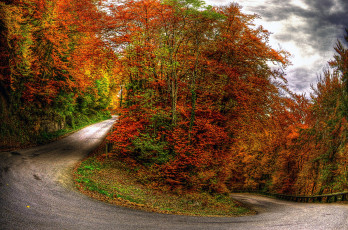 обоя autumn, природа, дороги, деревья, дорога, осень