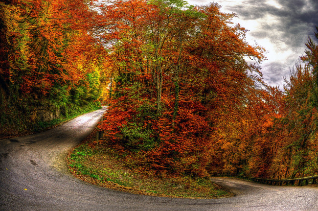 Обои картинки фото autumn, природа, дороги, деревья, дорога, осень