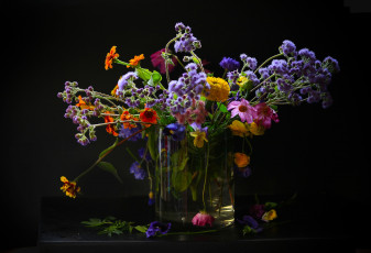 Картинка цветы луговые полевые космея бархатцы виола агератум букет