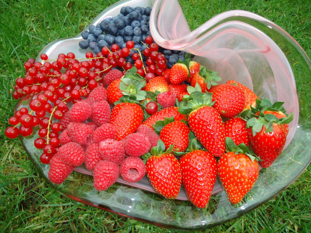 Обои картинки фото еда, фрукты,  ягоды, смородина, малина, клубника, голубика