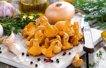 Картинка еда грибы +грибные+блюда соль перец чабрец лук чеснок лисички укроп