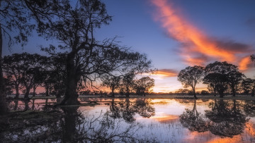 Картинка природа восходы закаты деревья gum trees озеро show of light coonawarra australia закат небо