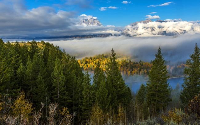 Обои картинки фото природа, реки, озера, река, деревья, горы, лес, wyoming, grand, teton, сша, туман, осень, облака