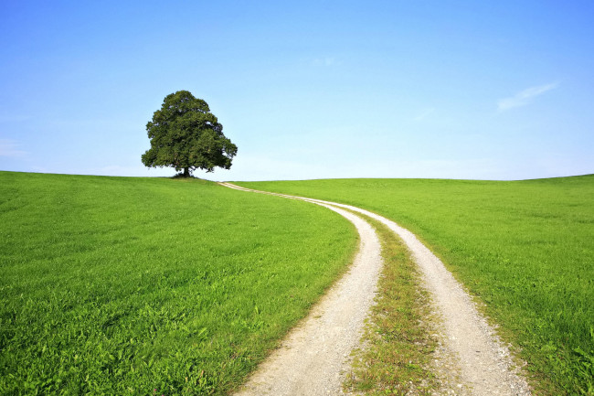 Обои картинки фото природа, дороги, небо, дерево, колея, дорога, трава, луга