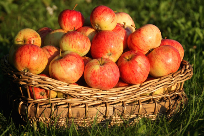 Обои картинки фото еда, Яблоки, плоды, яблоки, корзина