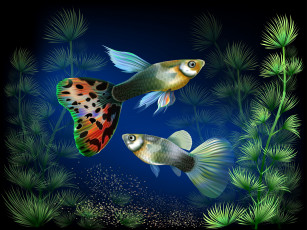 Картинка векторная+графика животные+ animals водоросли под водой рыбки аквариум
