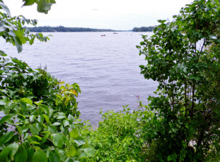 Картинка природа реки озера лодки деревья озеро