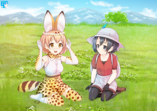 Картинка аниме kemono+friends фон взгляд девушки